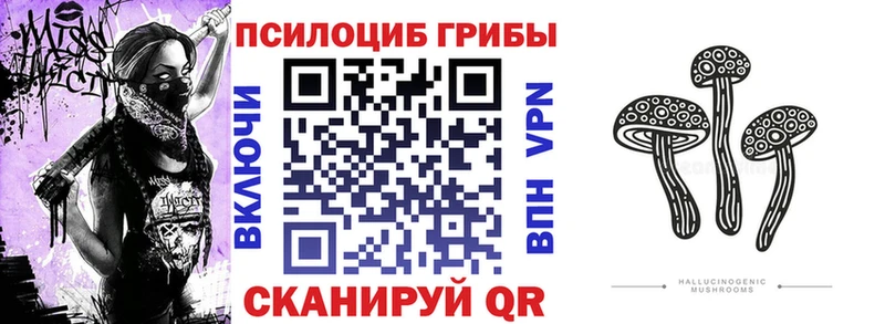 Галлюциногенные грибы ЛСД  Межгорье 